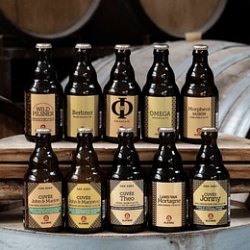 Pack Alvinne 2025 - Cask Chile