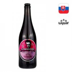 Holíčsky pivovar Wywar  Raspberry Sour