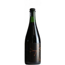 SPO Brown Ale Brettée Bière élevée en fûts de Pinot Noir 2020 37,5cl - Find a Bottle