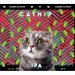 Catnip, 7.5% - 47cl (Noctem Artisans Brasseurs) 