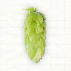 Deutschland Perle Pellets Typ 45 - Hopsteiner