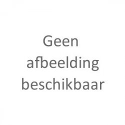 Affligem Brouwerij Affligem Blond 0.0%