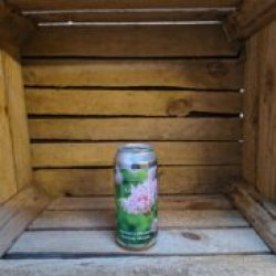 Ārpus Brewing Co. Apricot X Rhubarb Berliner Weisse