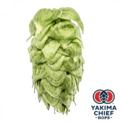 Lúpulo Columbus x 1 Kg Yakima Chief - Cibart
