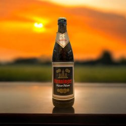 HENNINGER KAISER PILSNER BOTELLA 500 ML. - Hidden Beers