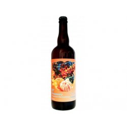Antoš - 9°Summery Tangerine & Sea Buckthorn 0,75l sklo 3,5% alk. - Beer Butik