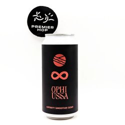 Pomona Island Brew Co. INFINITY SMOOTHIE SOUR