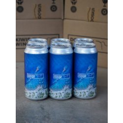 Medes Pils  NZ Pilsner  5.3%  - 6 unitats — DOSKIWIS BREWING - Cervesera Artesana Empordà - Doskiwis