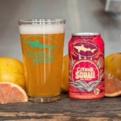 Dogfish Citrus Squall 6 pack12 oz cans - Beverages2u