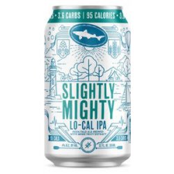 Dogfish Slightly Mighty Lo Cal IPA- 2412oz cans - Beverages2u