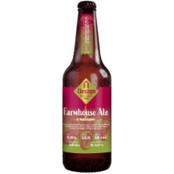 Browar Zamkowy Cieszyn Farmhouse Ale z Malinami Browar Zamkowy Cieszyn Farmhouse Ale z Malinami