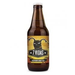 Cerveza 7 Vidas Oxapampa Honey Ale - Cerveza 7 Vidas