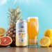 Vault City X Brew Toon  Lemon Grapefruit Pineapple Radler 