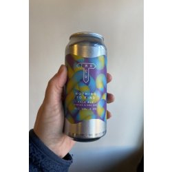 Track Brewing Company Nothing To Find Pale Ale - Heaton Hops