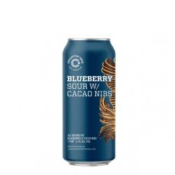 COLLECTIVE ARTS Blueberry Chocolate Sour - Birre da Manicomio