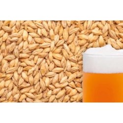 slad BEST A-XL - Beerex