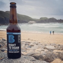 Burnside Brewery  Alcohol Free IPA  Right to Roam -0.5%, 330ml - The Alcohol Free Co