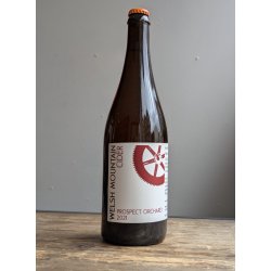 Welsh Mountain Cider - Prospect Orchard 2021 - The Beerhive