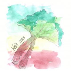 Brasserie Cantillon Nath (2025)