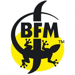 BFM La Dragonne Dark Mild Winter Ale - CraftShack