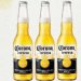 Coronita cerveza Tây Ban Nha 4.6%vol thùng 24 chai 210ml 