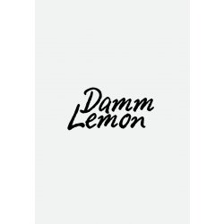Jarra Damm Lemon - Damm