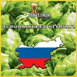 Aurora Super Styrian (flor) - Cervezinox