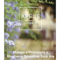 Ārpus - Mango x Pineapple x Blueberry Smoothie Sour Ale - DinØl.dk