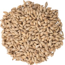 Carapils Malt - Weyermann - Panama Brewers Supply