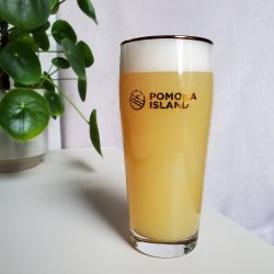 Pomona Island Gold Glass - Pomona Island Brew Co