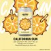 MIXTAPE - CALIFORNIA SUN 