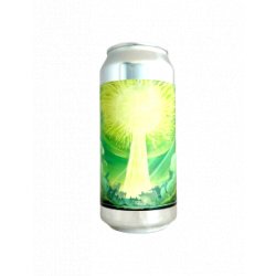 Chromatique - Gros Ficus (West Coast IPA) 44 cl - Bieronomy