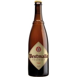 Westmalle Trappist Tripel - Bine & Vine