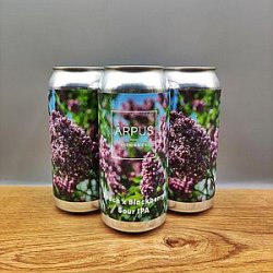 Ārpus - PEACH X BLACKBERRY SOUR IPA 440ml - Goblet Beer Store