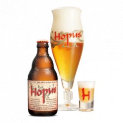 Hopus 8,3% (Casier de 20 x 33cl) - Big Bag Delivery