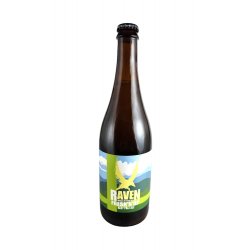 Raven Fresh N Up Hazy Pale Ale 12° - Pivní ochutnávka