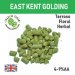 LUPULO EAST KENT GOLDING X 100 GR 