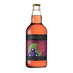 Polgoon Cornish Berry Cider 500ml - Drink Finder