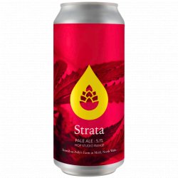 Polly's Brew Co - Strata - Left Field Beer