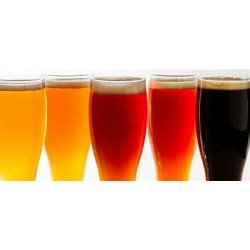 CURSO GRATIS COLOR CERVEZA - Minicervecería