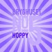 Bryghuset No. 5, Hoppy  8,5%  50 cl. 