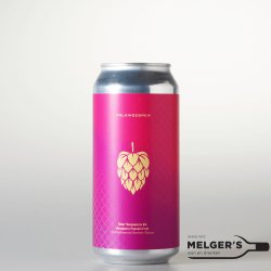 Folkingebrew  Sour Sequence #4 Raspberry Passionfruit Fruited Imperial Berliner Weisse 44cl Blik - Melgers