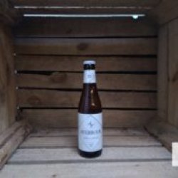 Averbode  Blond - Bierwinkel Alkmaar