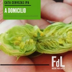 FDL Cata cervezas IPA  Grupo privado - FDL Beer Project