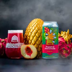 Vault City Brewing Dragon Fruit Peach Vanilla