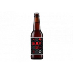 Brewfist Dr Ray 12x33CL - Van Bieren