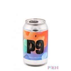 Garage Beer Co. P9 - Pien