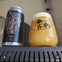 Dark Element Brew Co Thicket