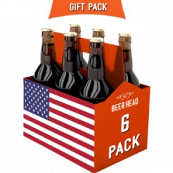 Mix 6 Pack selection of craft beer  USA - Beer Head