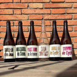 Pack de Wine ales — Cyclic Beer Farm - Cyclic Beer Farm